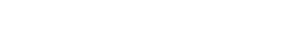 vlv logo white